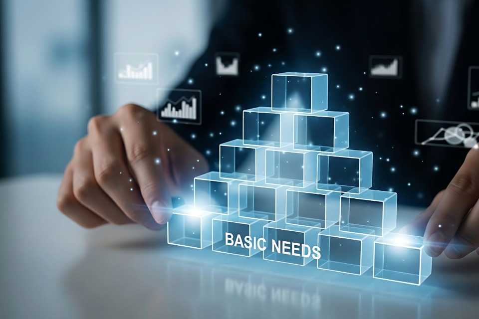 Business Needs